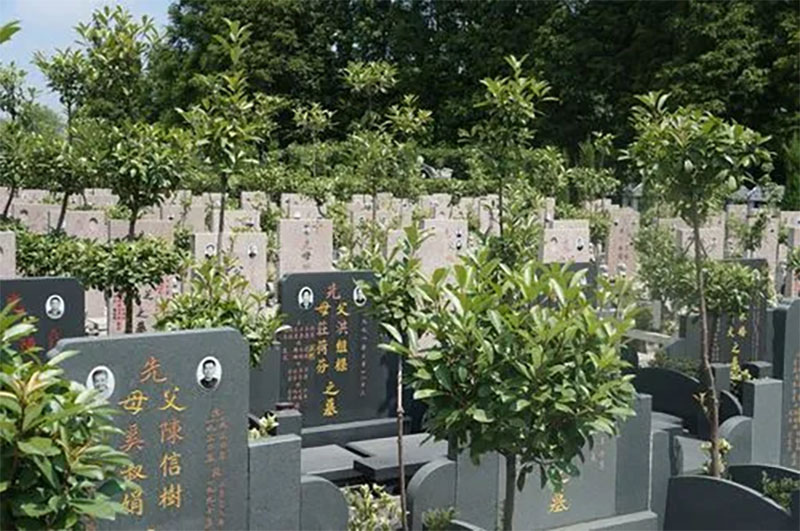 买墓必看！买墓地10不选，千万别踩坑