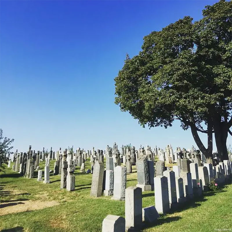 提前规划的好处：为什么现在就该购买墓地