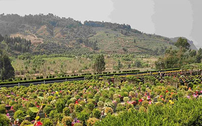 公墓陵园怎么看风水？快来了解吧