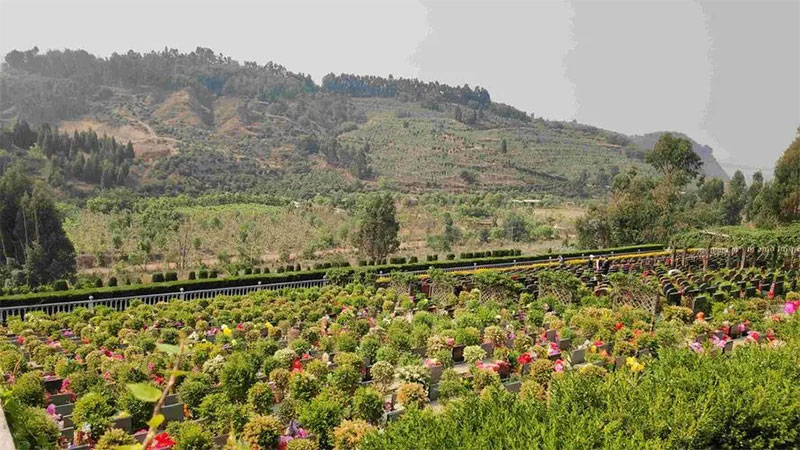 公墓陵园怎么看风水?快来了解吧 公墓陵园怎么看风水?快来了解吧