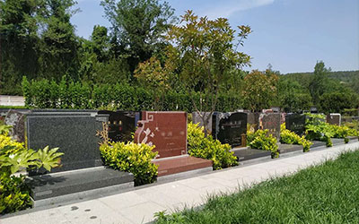 墓地朝向的选择