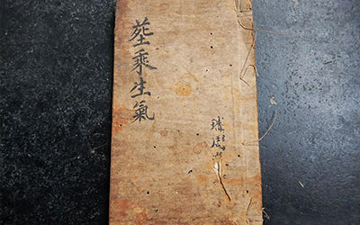 什么是“乘生气”