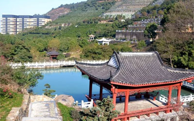 购买墓地需要携带哪些材料？