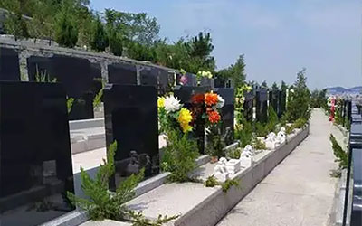 如何选择合适的墓型？根据个人喜好和预算考虑