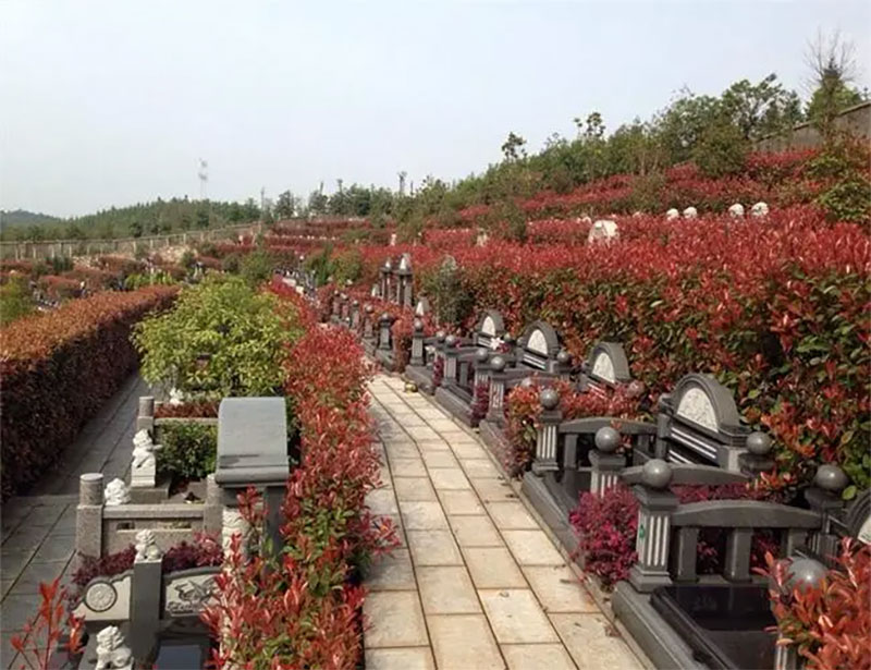 公墓信息网告诉你怎么选择合适的墓地