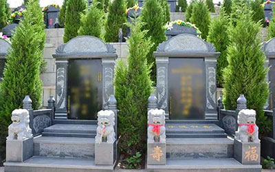 选公墓墓地的基本原则是什么？