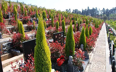 在公墓里选墓地，有什么样的禁忌？