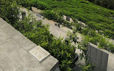 这些选择墓地常识，学会避免踩坑！