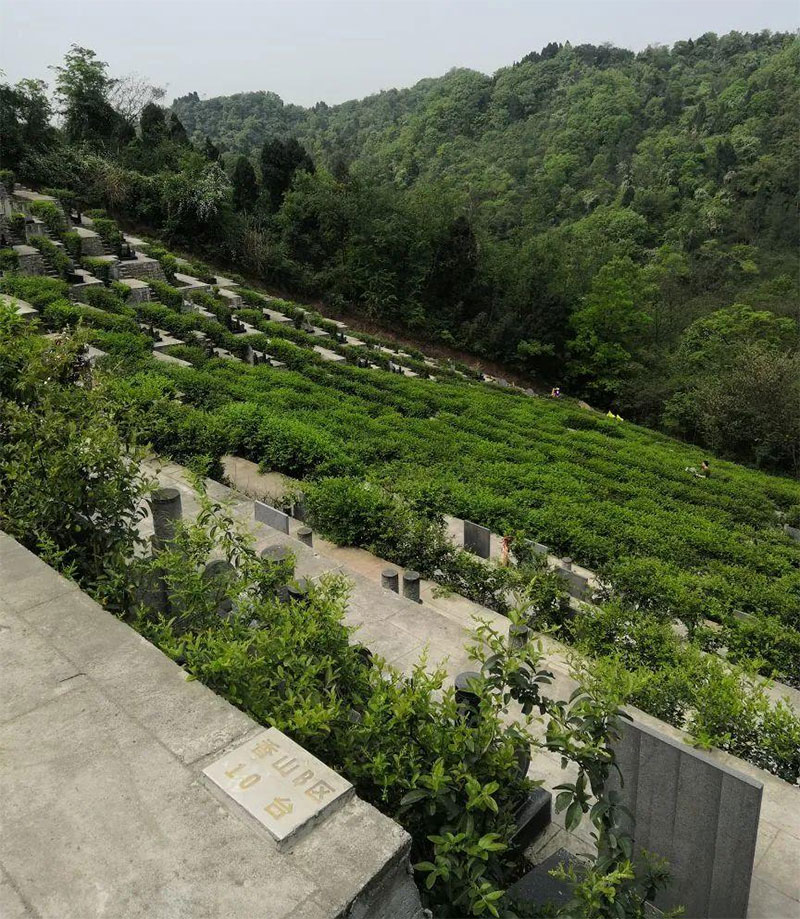 这些选择墓地常识,学会避免踩坑 这些选择墓地常识,学会避免踩坑
