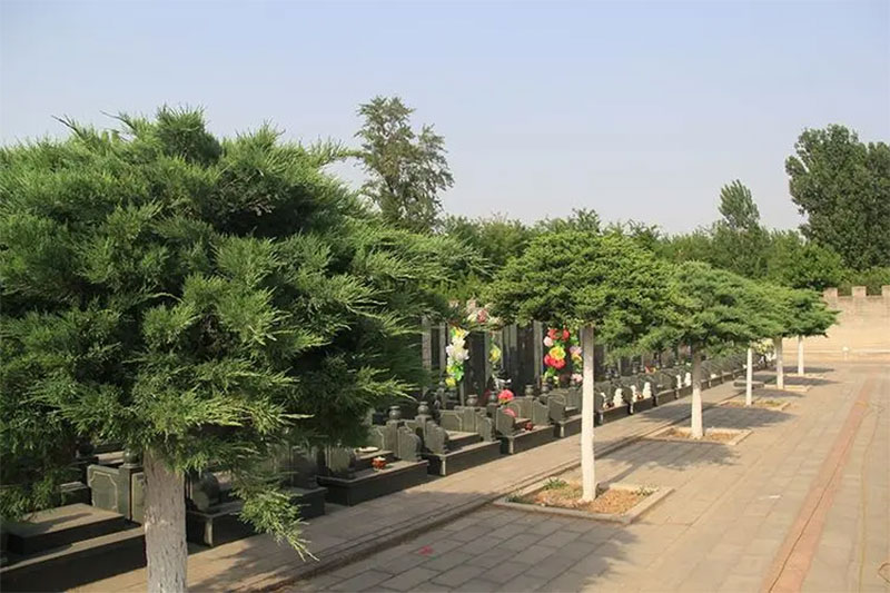 如何为故人选择一个好的墓地? 如何为故人选择一个好的墓地?