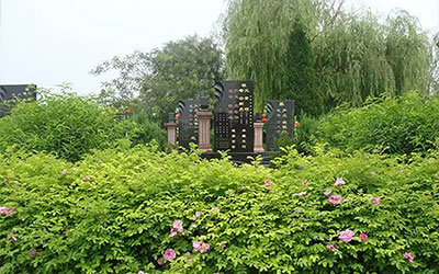 如何看墓地的位置？