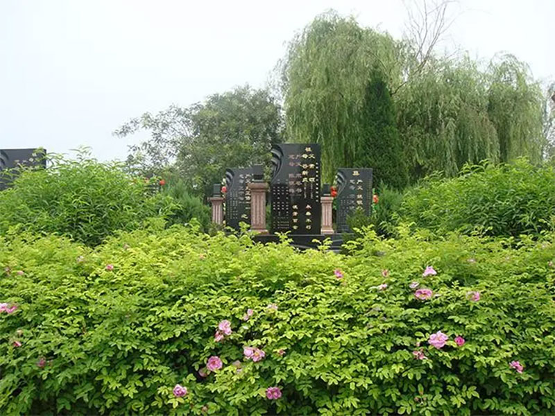 如何看墓地的位置 如何看墓地的位置