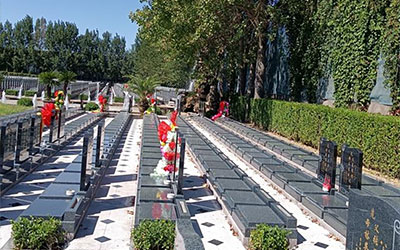 看墓地比较简单的方法有哪些