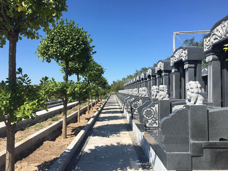 选墓时哪些位置不能选