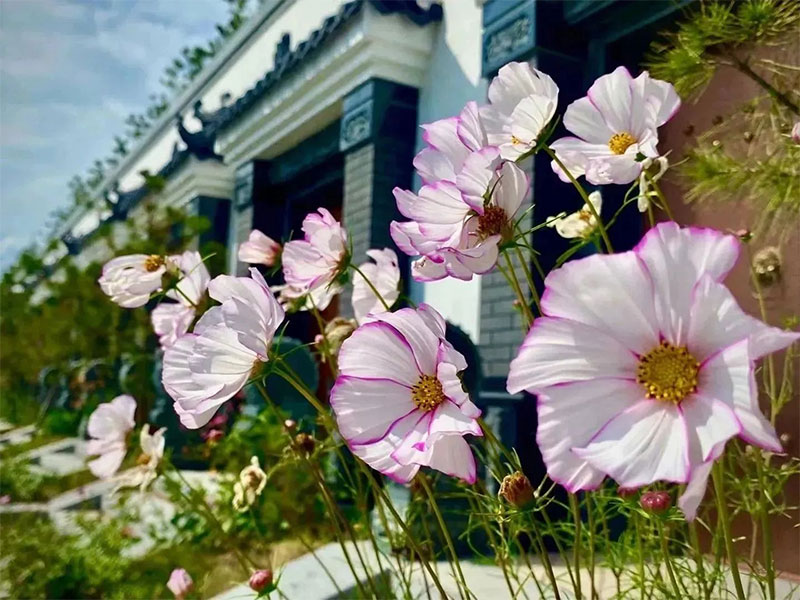 昆明买墓地什么时间合适 昆明买墓地什么时间合适