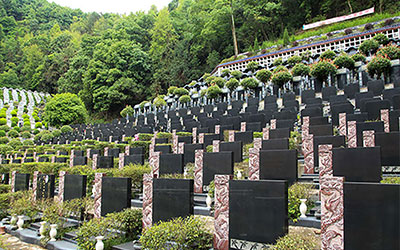 买昆明墓地需要注意什么？有哪些购墓技巧？