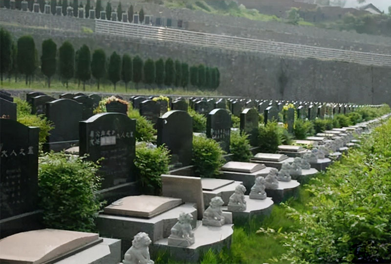 购墓的一般性流程 购墓的一般性流程