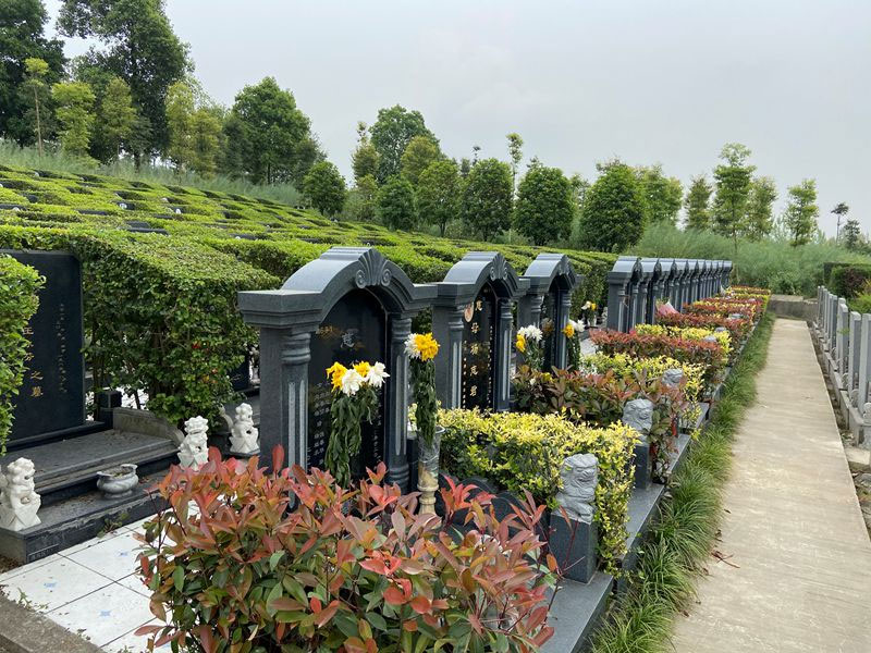 陵园中通过以下知识选墓