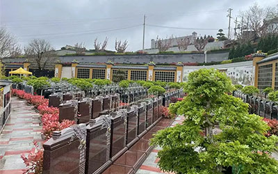 购墓指南来了！如何选择好墓地看这篇就够了