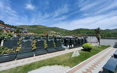 买墓地需要什么手续和证件