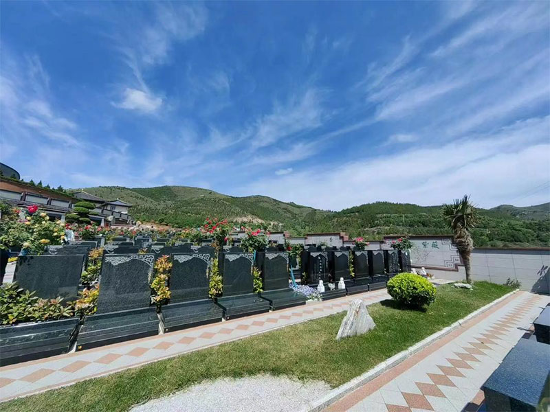 买墓地需要什么手续和证件