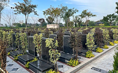 如何看墓地风水？如何选墓靠近龙脉？葬在龙脉有什么好处？