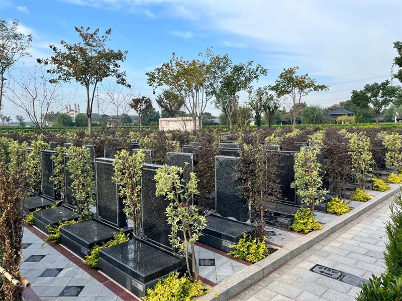 如何看墓地风水？如何选墓靠近龙脉？葬在龙脉有什么好处？