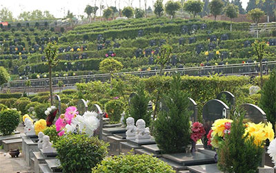 掌握坟地风水秘诀：一句口诀引领安息之地的选择智慧