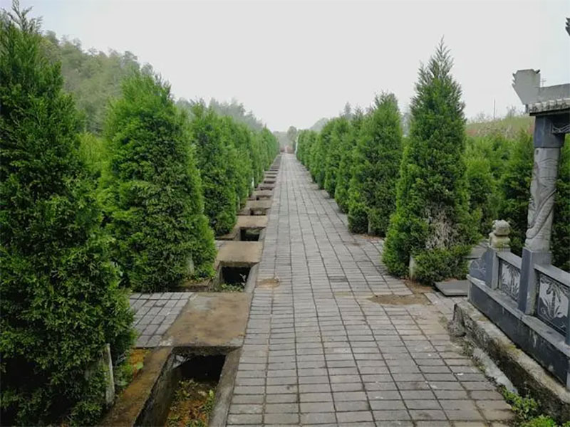 手把手教你墓地公墓陵园该怎么选 手把手教你墓地公墓陵园该怎么选