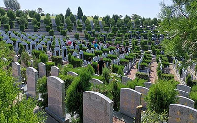 买公墓，如何选择好陵园