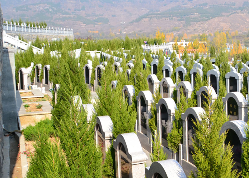 什么样的公墓可以购买，何种的公墓不能买