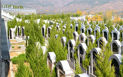 什么样的公墓可以购买，何种的公墓不能买