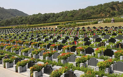 选墓地怎么选风水详解