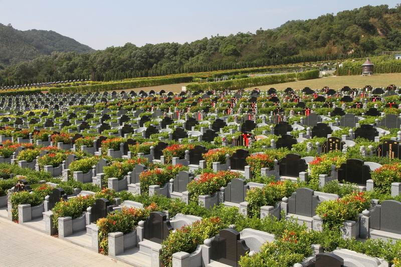 选墓地怎么选风水详解