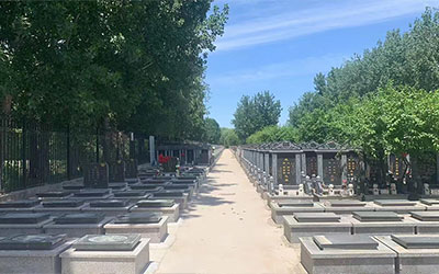 市民选购墓地的时候都有哪些禁忌呢？