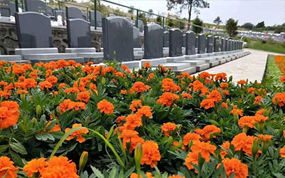 怎么在墓园内挑选好的墓地