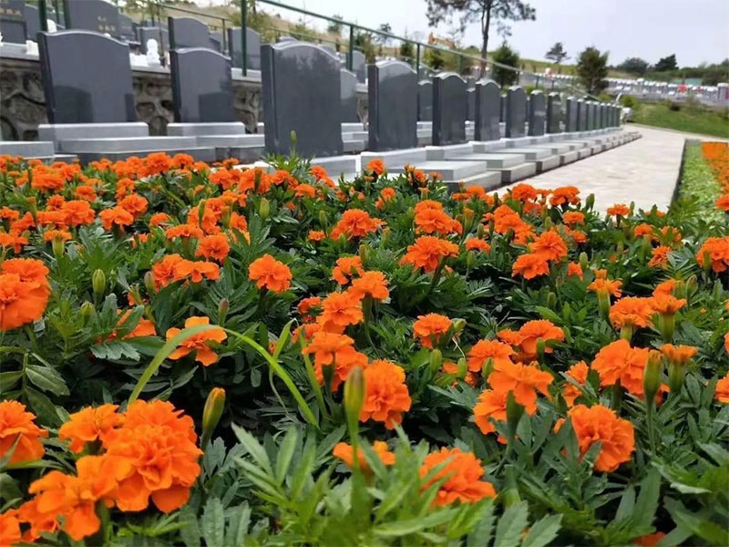 怎么在墓园内挑选好的墓地 怎么在墓园内挑选好的墓地