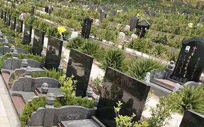 买墓位这些需要先了解（一）