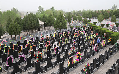 公墓风水的选择要点是什么？解析公墓风水的选择要点