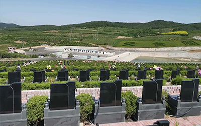 买公墓时要注意哪些问题？怎么才能避免踩坑？