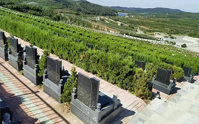 如何在选择墓地时考虑科学和风水因素？