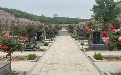 公墓选址与风水布局：如何确保风水适宜的墓地选择指南