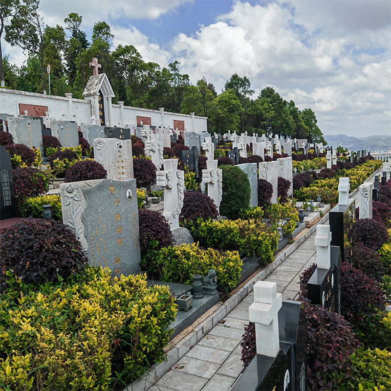 公墓选位攻略 公墓选位攻略