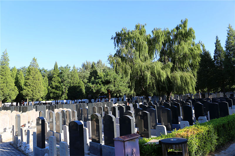选择墓地有哪些忌讳