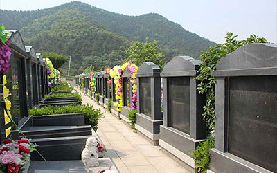 公墓选墓最佳位置指南：注意事项与建议