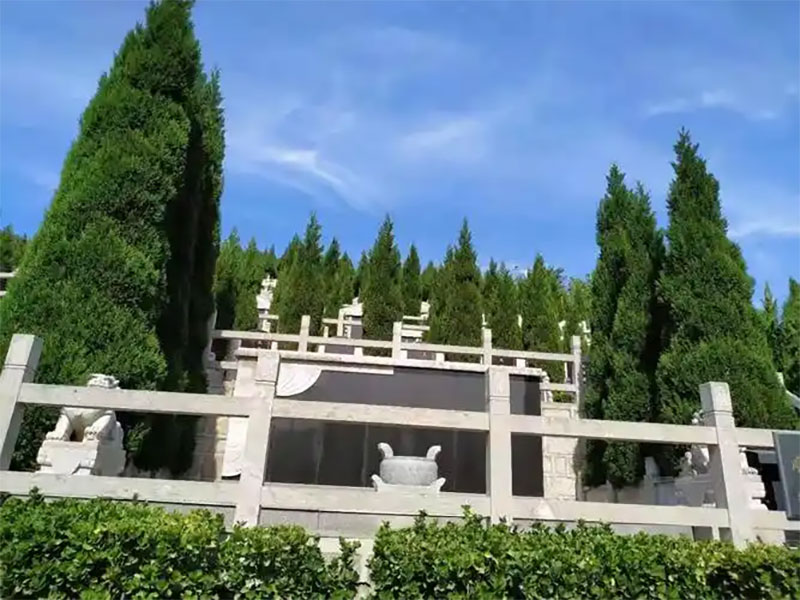 墓地选择：尊重逝者与兼顾环境的考量