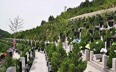 墓地选购全流程：从需求明确到落定安息之所