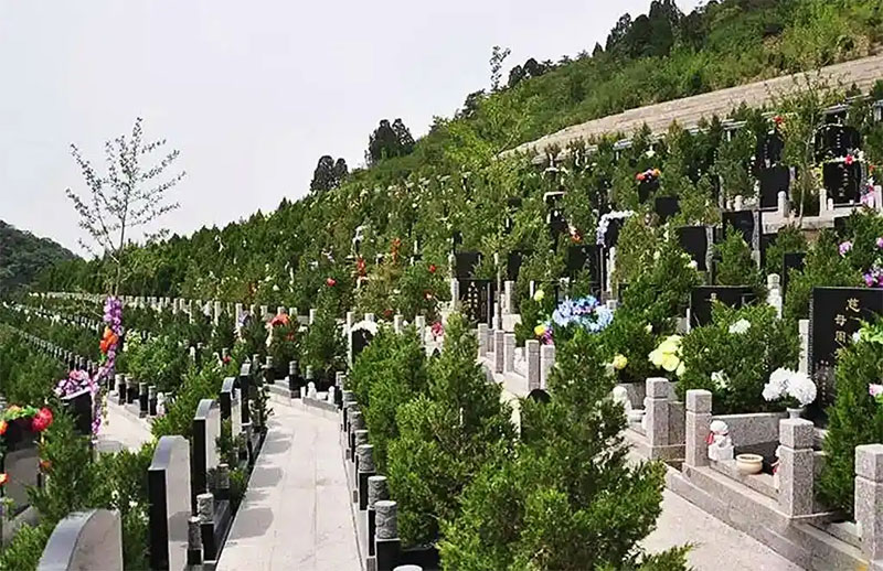 墓地选购全流程：从需求明确到落定安息之所