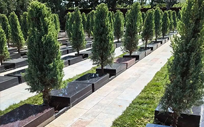 公墓选择全攻略：如何为亲人选择最佳安息之地