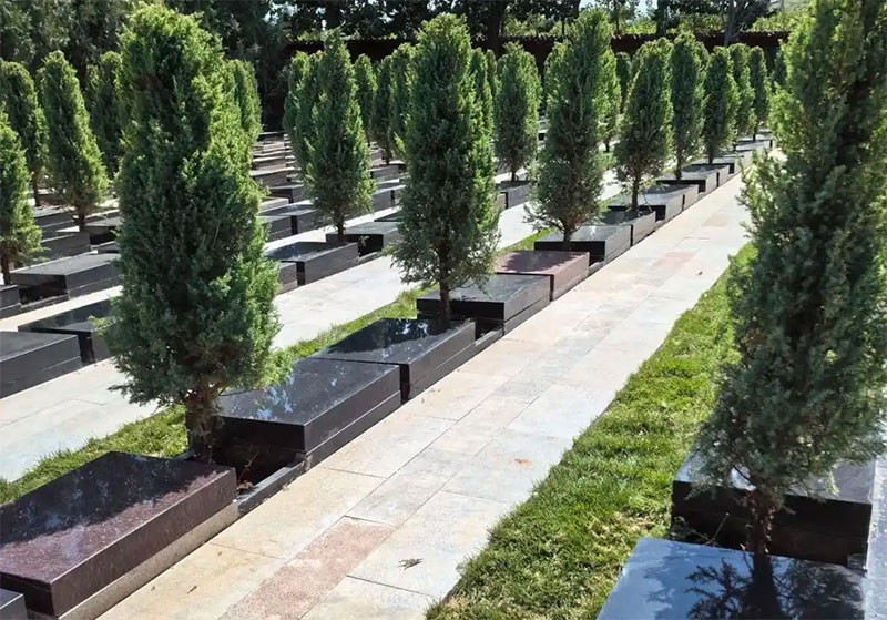 公墓选择全攻略:如何为亲人选择最佳安息之地 公墓选择全攻略:如何为亲人选择最佳安息之地